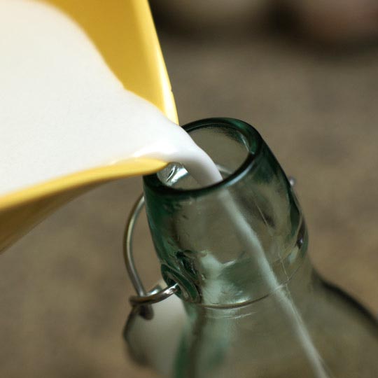 DIY Creamy Coconut Steamer: Your Perfect Dairy-Free Nightcap